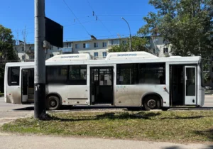 В тамбовском автобусе на пассажирку рухнул потолок